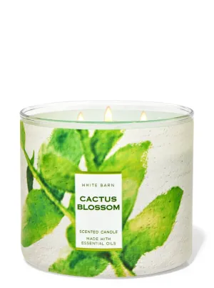 Bath & Body Works Cactus Blossom White Barn 3-Wick Candle