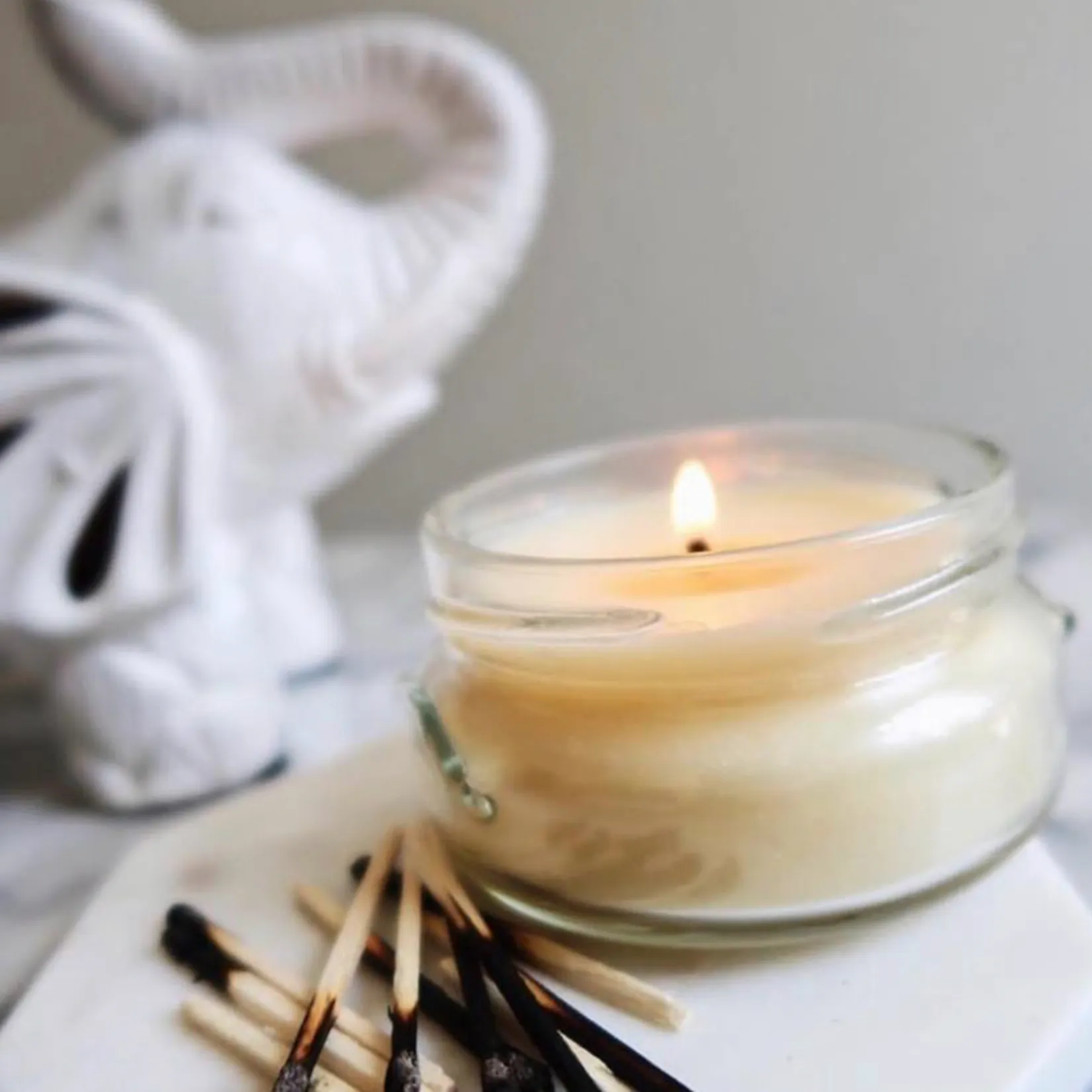 Blueberry Blitz 22oz Candle