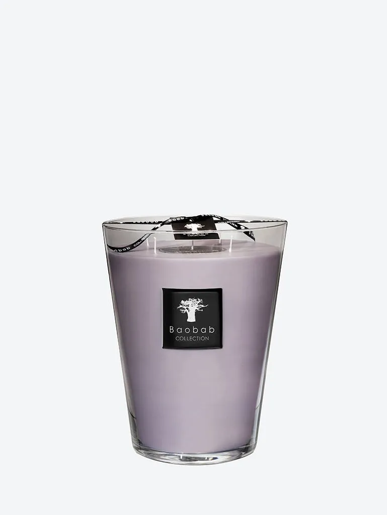 Candle all seasons white rhino luster