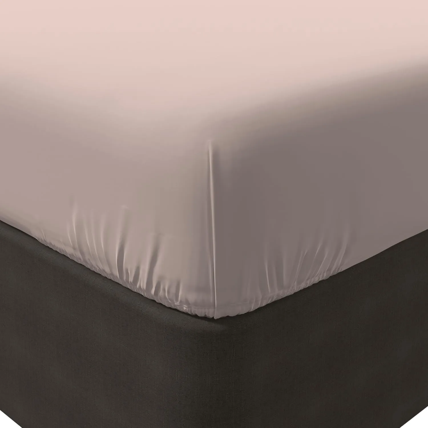 Color Sense 1 Fitted Sheet Only, 100% Natural Cotton, Crisp Percale Weave, Cool & Breathable Comfort with Moisture Wicking, Fits Mattress Upto 17" Deep Pocket, Fully Elasticized Fit, King Size, Blush