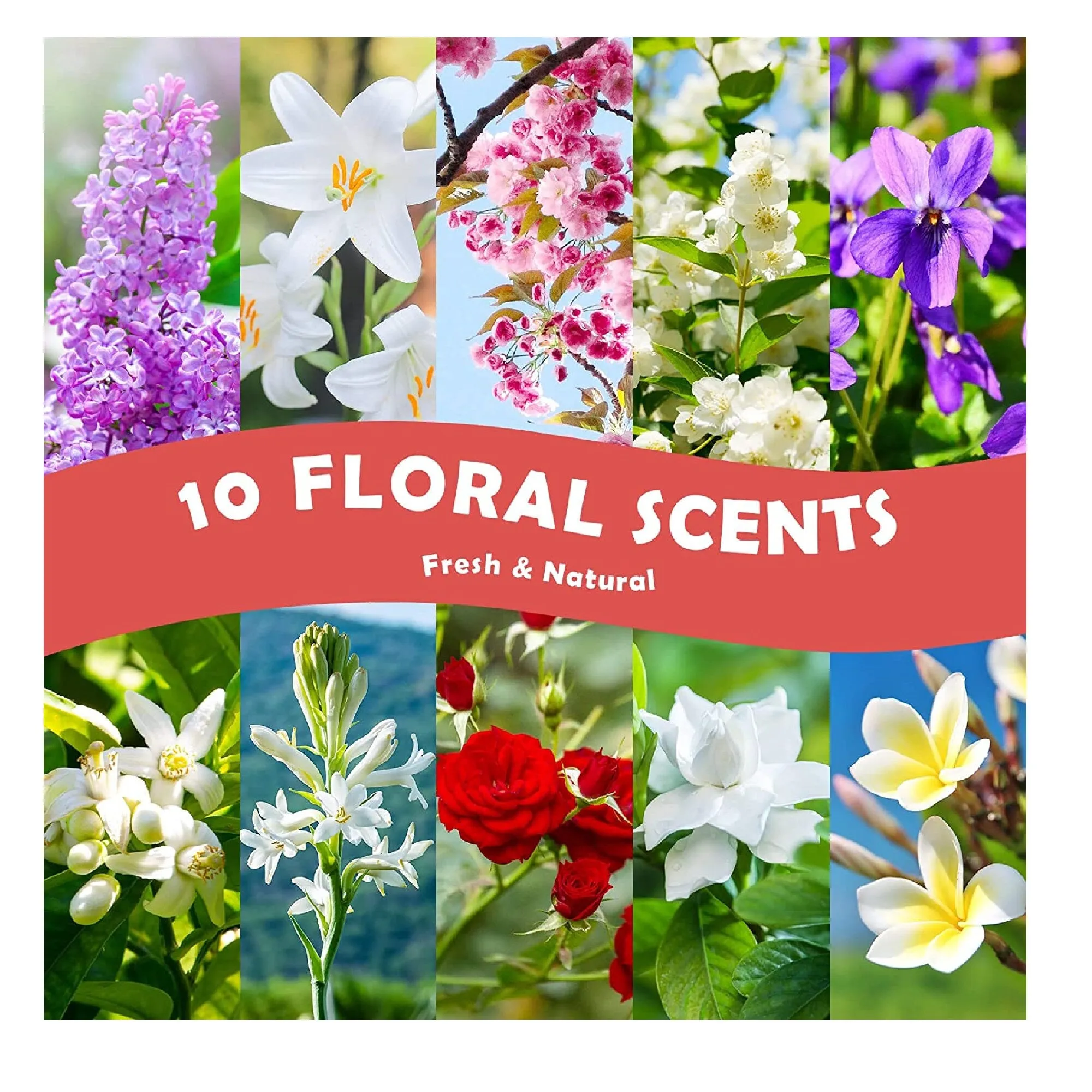 Floral Essential Oils | Holamay Premium Fragrance Oil For Candle Making | 5ml x 10