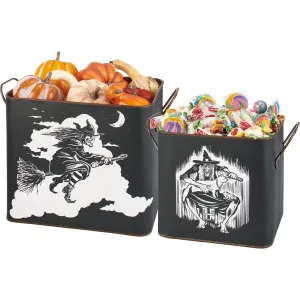 Flying Witch And Cat Bin Set