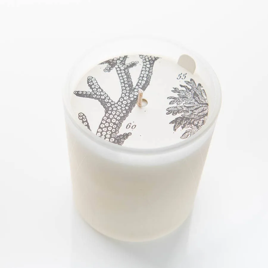 Formulary 55 - Aloe Leaf & Mint Glass Candle