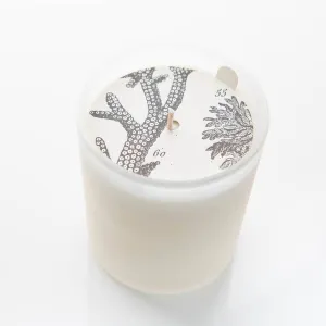 Formulary 55 - Aloe Leaf & Mint Glass Candle