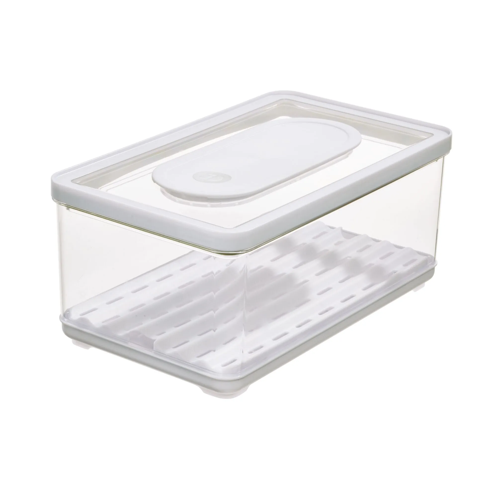 iDesign iDFresh BPA-Free Recycled Plastic Produce Storage Bin, Large