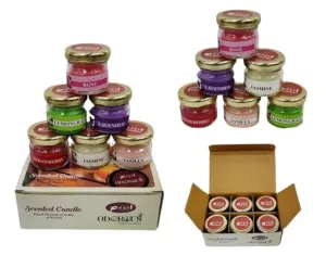 JAZON Scented Mini Jar Candles for Home Decor & Gifting (6 Piece) | Blueberry, Sandal Wood, English Rose, Lavender, Wild Jasmine, Strawberry (Pack of 2)