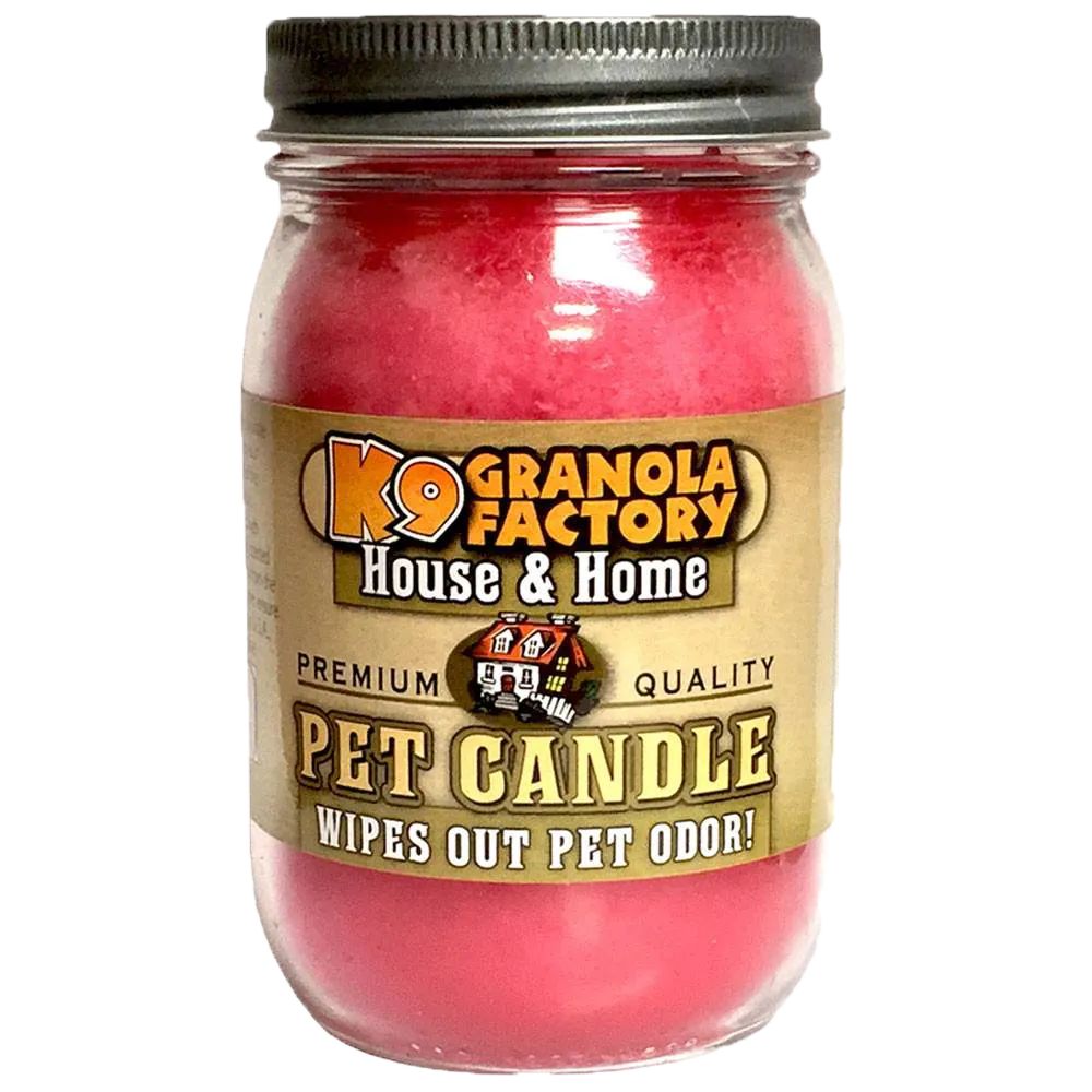 K9 Granola Factory Odor Eliminator Candle, Angels in The Air