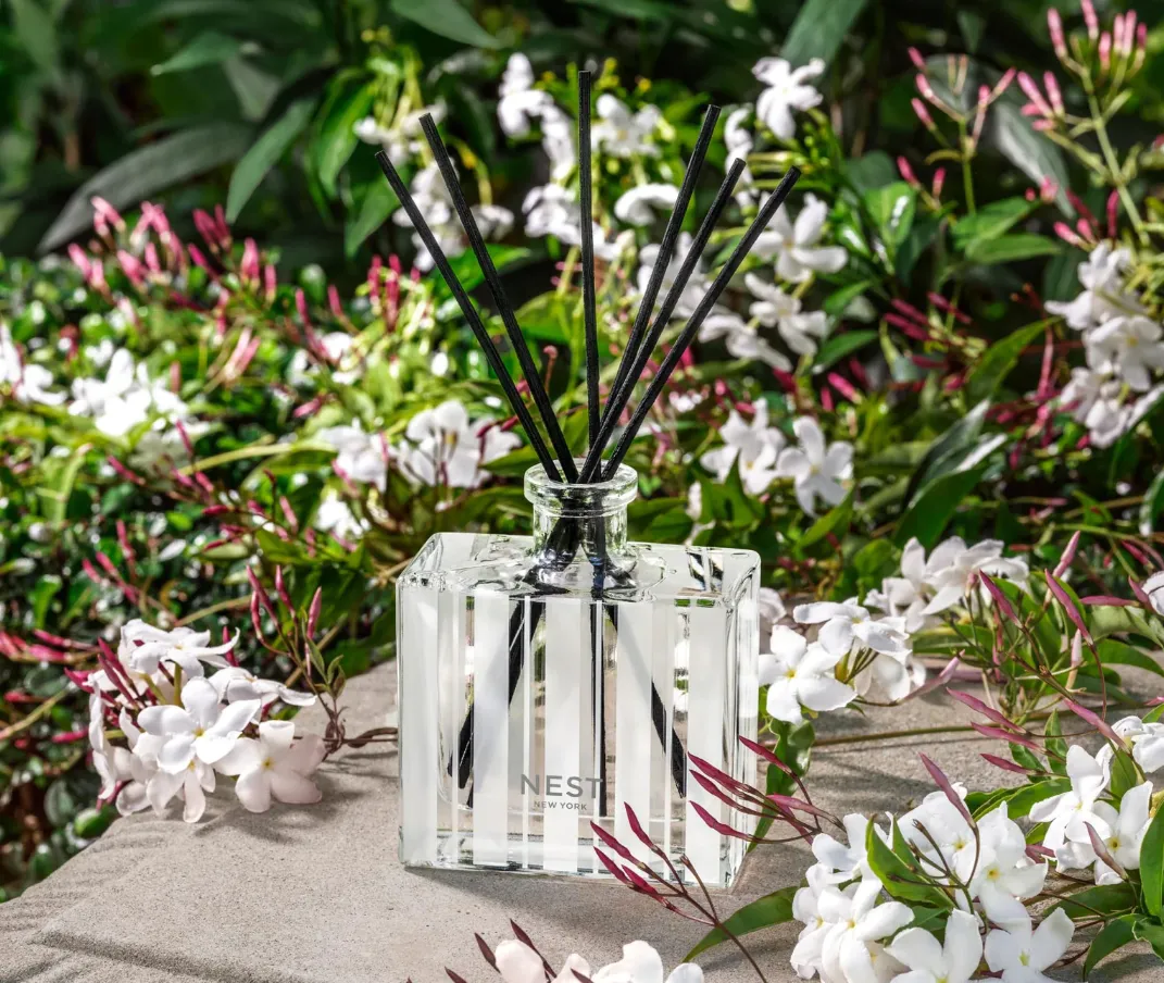 Nest Reed Diffuser 5.9oz Indian Jasmine