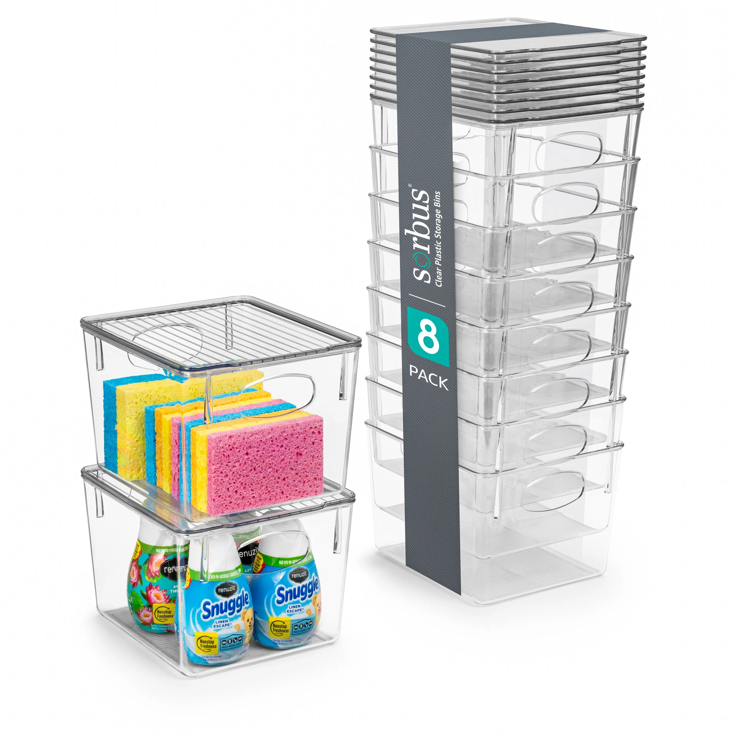 Plastic Bins with Lids Set (Medium)