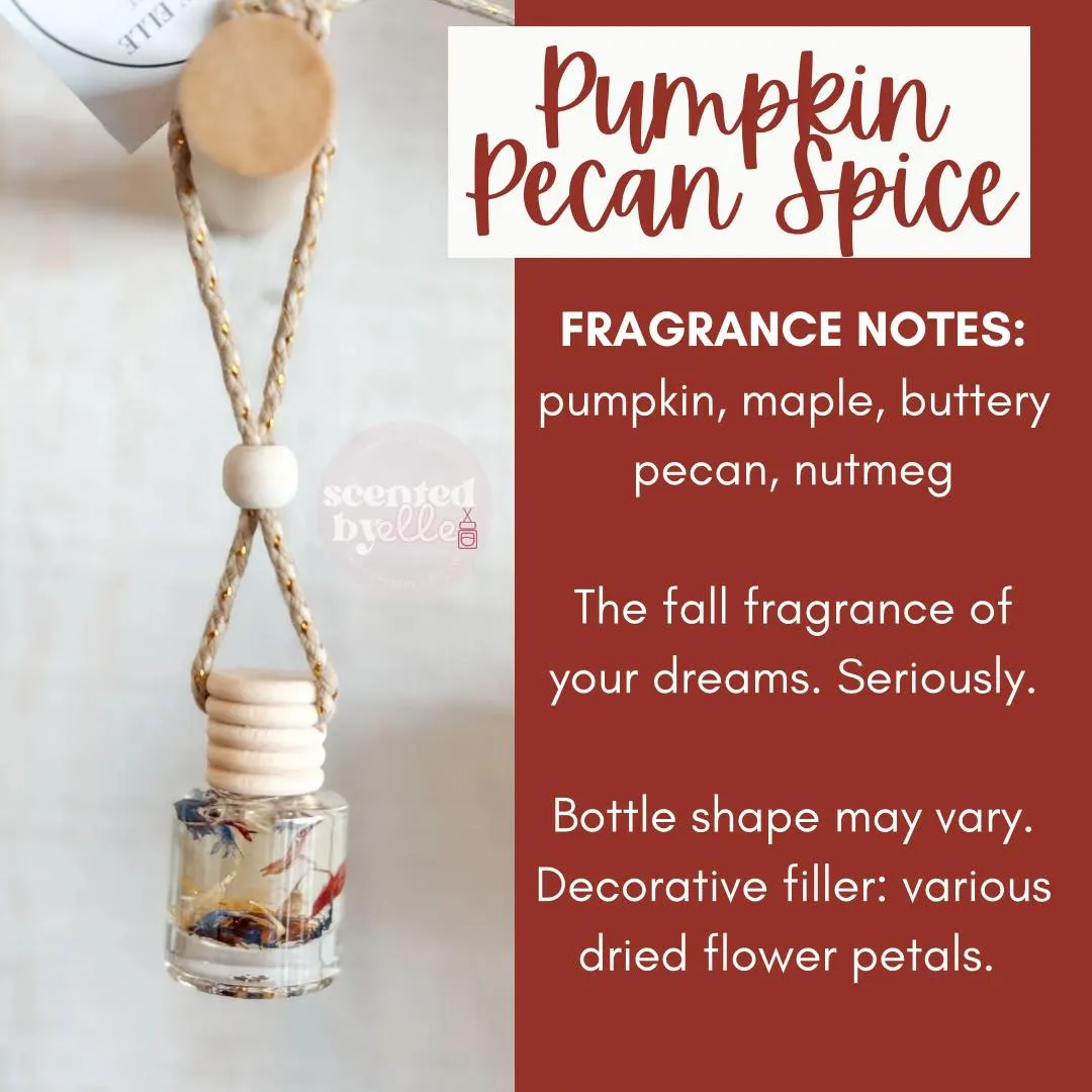 Pumpkin Pecan Spice Swirl Car Diffuser
