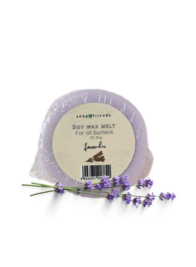 Soap&Friends Soy Wax Melt Set for Oil Burners (25-30g) - Lemon & Rosemary, Chocolate & Orange, Lavender, Grape, Set of 4