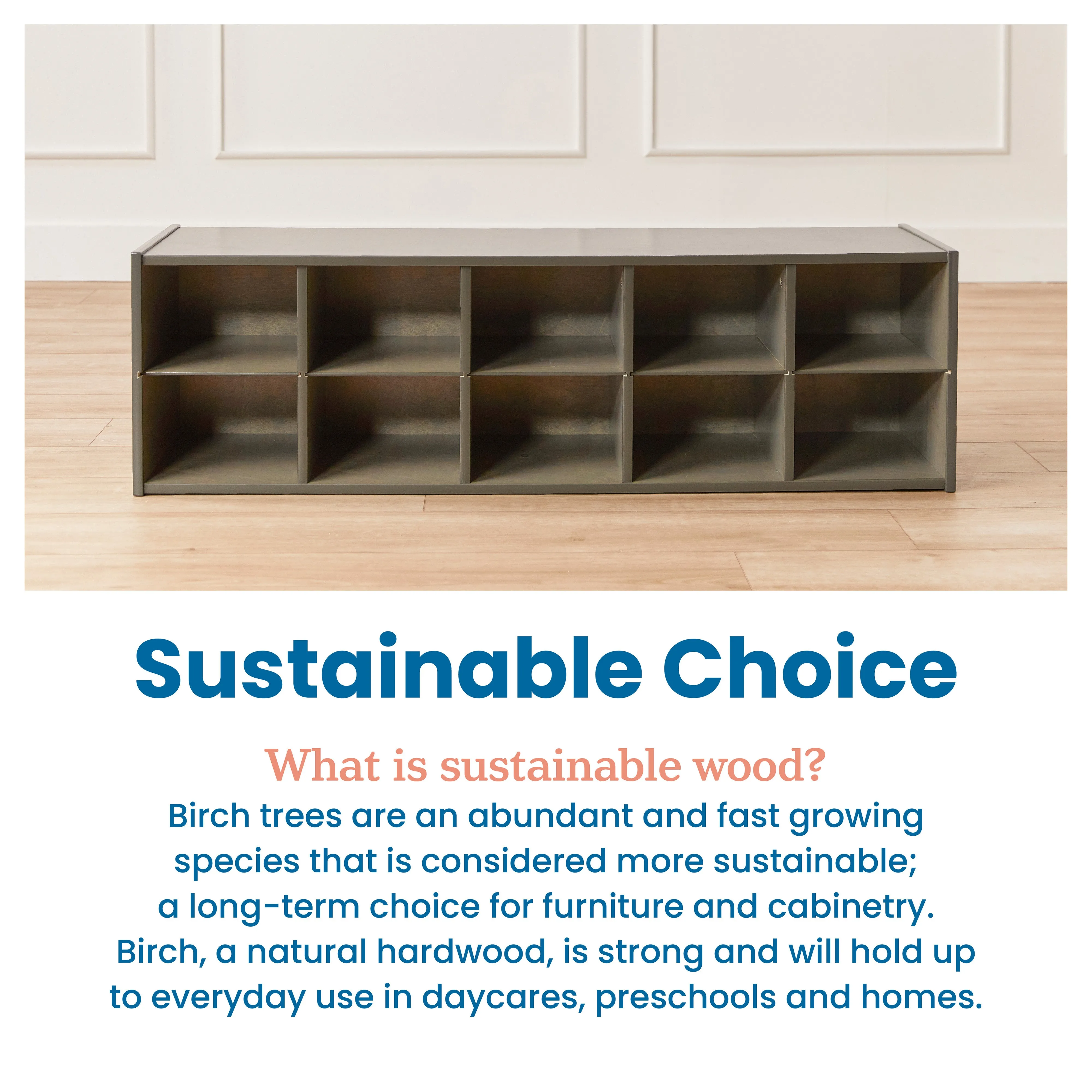Streamline 10 Cubby Tray Storage Cabinet, 2x5