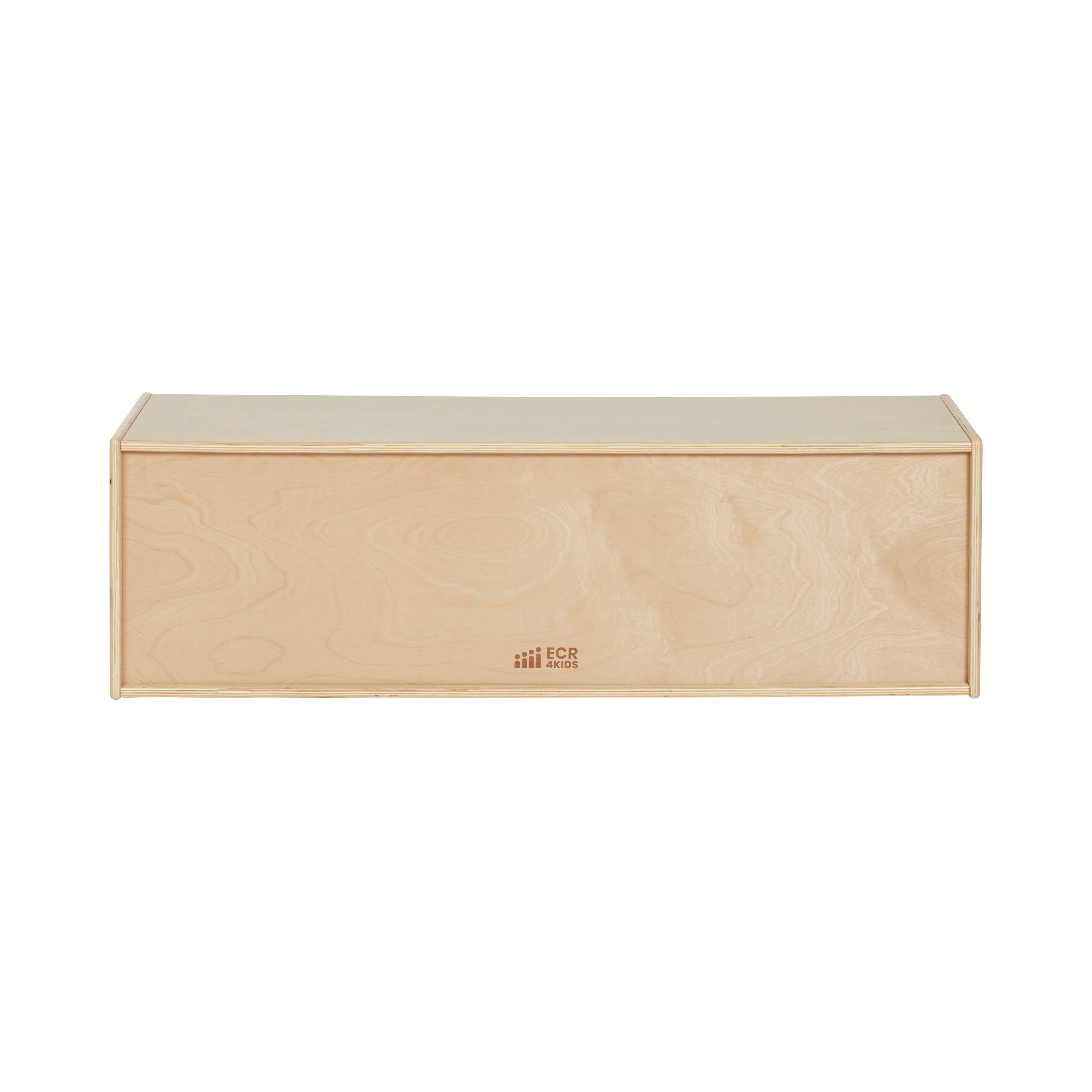 Streamline 10 Cubby Tray Storage Cabinet, 2x5