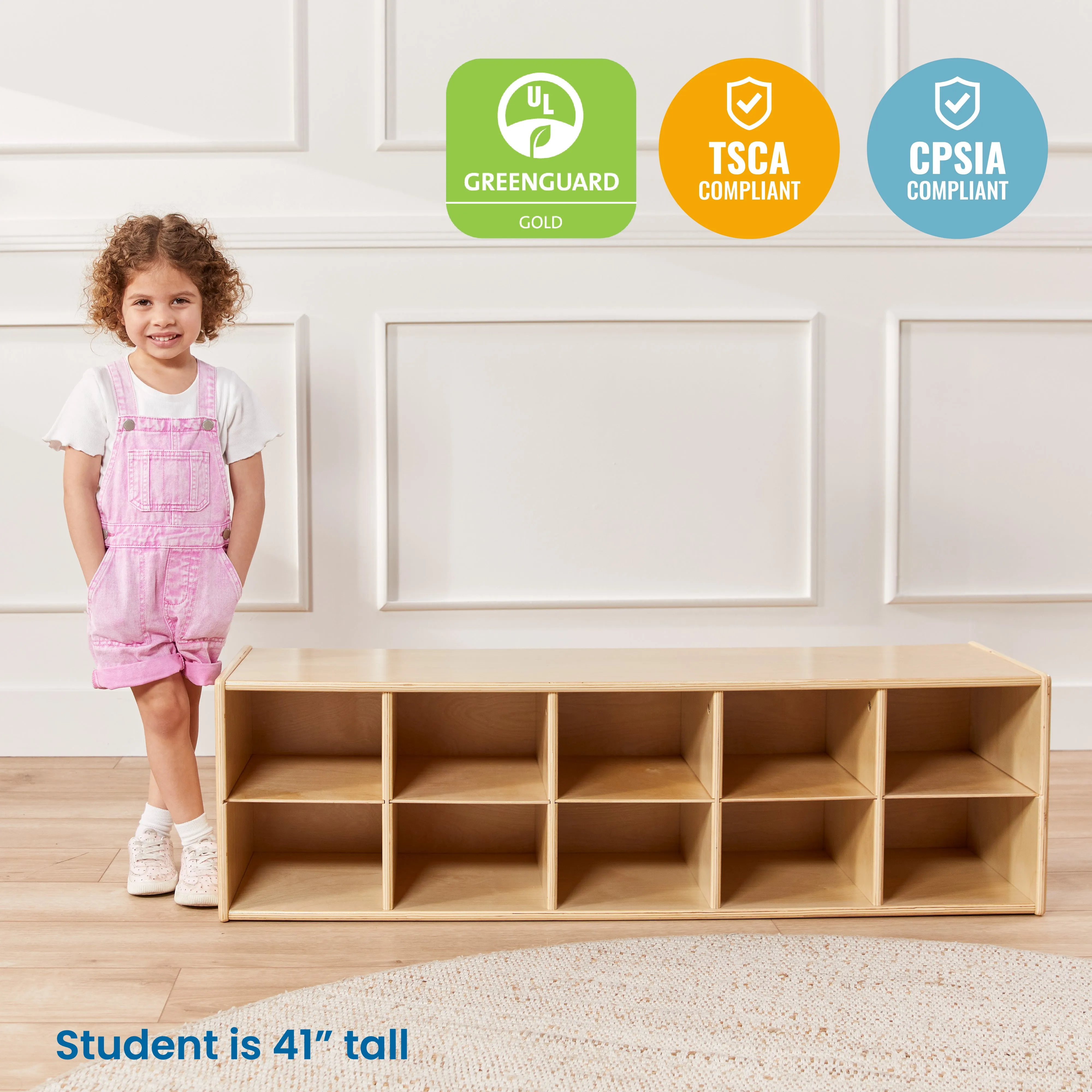 Streamline 10 Cubby Tray Storage Cabinet, 2x5