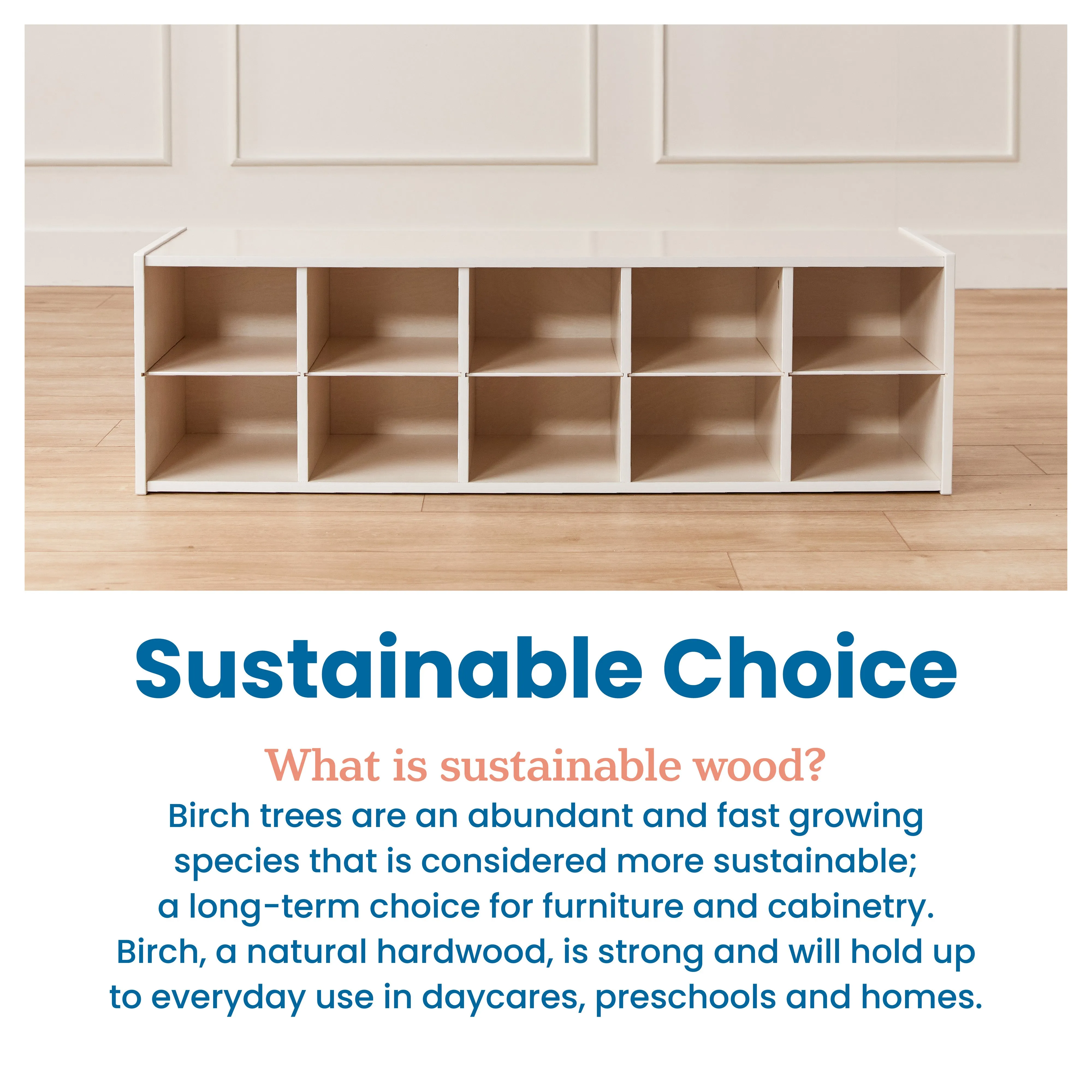 Streamline 10 Cubby Tray Storage Cabinet, 2x5