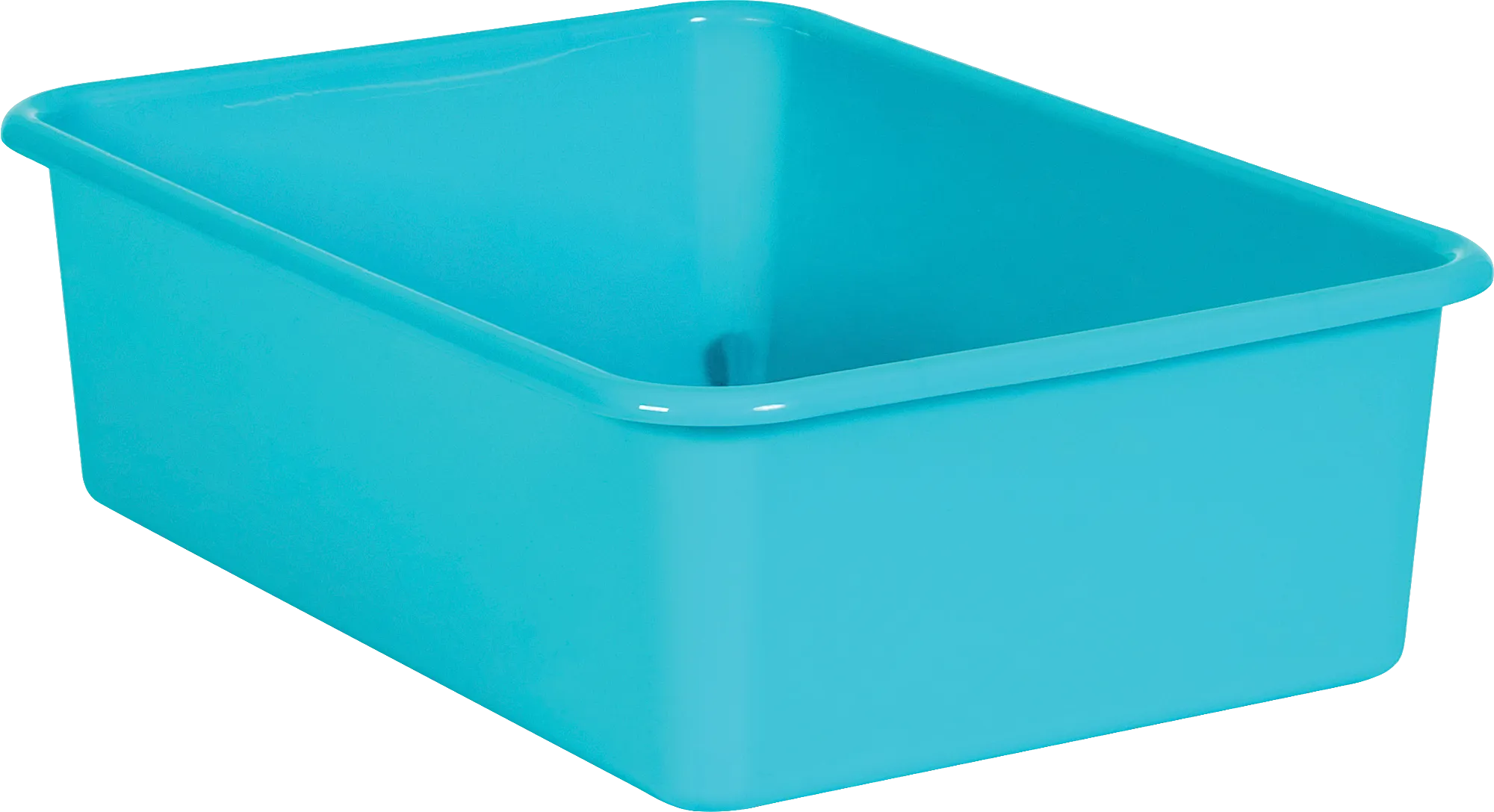 Teal Large Plastic Storage Bin