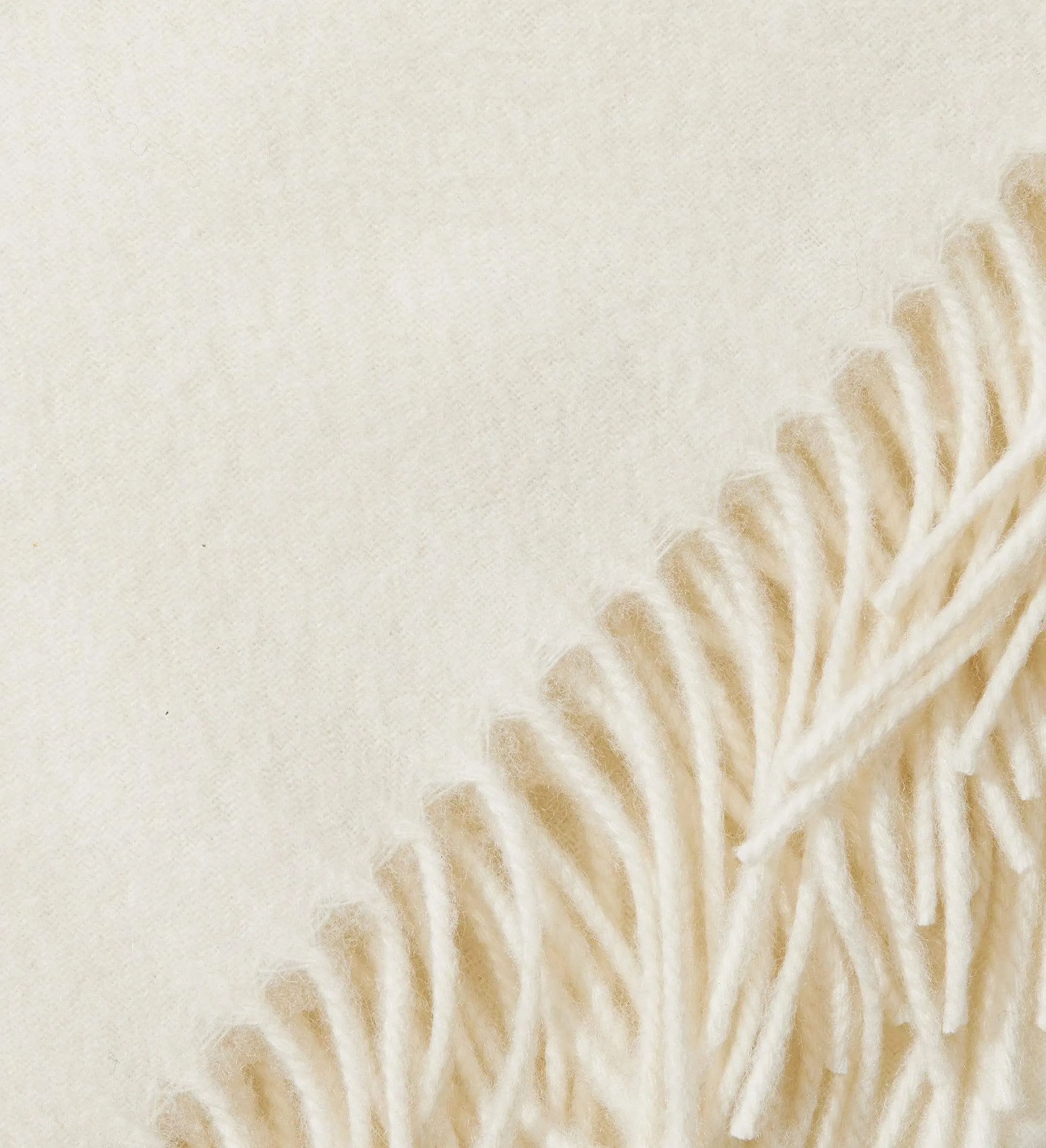 The Solid Cashmere Fringe Throw Blanket