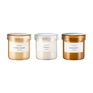 VALOA Scented Candle In Glass Container - Set of 3